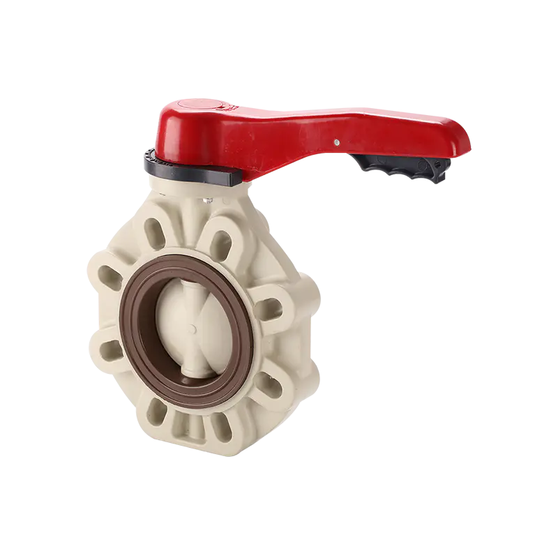 Typ s škrticí klapkou a pákou